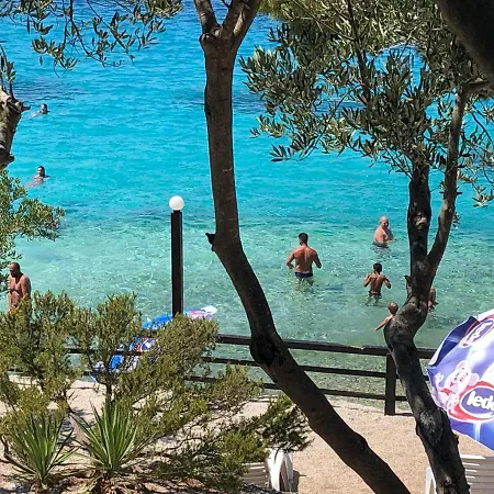 Zdrava * טרוגיר