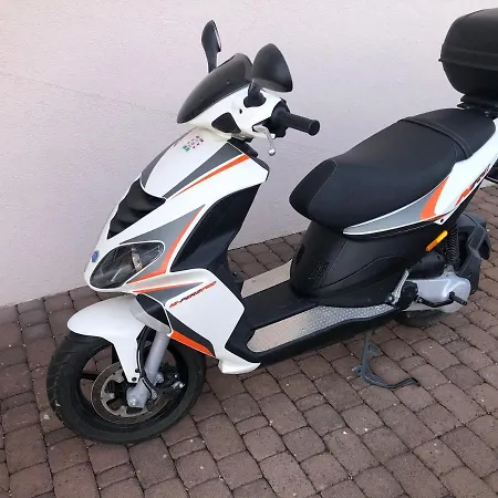 Zdrava * טרוגיר